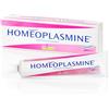 BOIRON Srl Boiron Homeoplasmine Pomata Lenitiva 40g