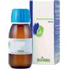 BOIRON Srl Boiron Rosmarinus Officinalis Macerato Glicerico 60 ml