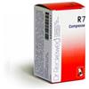 DR.RECKEWEG & CO. GmbH Reckweg Imo R7 Medicinale Omeopatico 100 Compresse 0,1 g