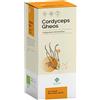 GHEOS Srl Cordyceps Integratore 90 Capsule