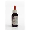 ADAMAH Srl Eie ipofoemin 60ml gtt