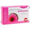 KOS Srl ECHINACEA ESTRATTO SECCO 60CPR