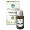ERBORISTERIA MAGENTINA Srl Erboristeria Magentina Lavanda Olio Essenziale Integratore Pelle 10 ml
