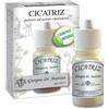 DR.GIORGINI SER-VIS Srl CICATRIZ POLVERE 10G