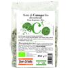 BIOTOBIO Srl Fior di Loto Semi di Canapa Decorticati Bio 250 g