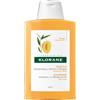 KLORANE (Pierre Fabre It. SpA) Klorane Burro Di Mango Shampoo Nutritivo Capelli Secchi 400 ml
