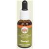 BUSH BIOTHERAPIES Pty Ltd Bush Flower Essences Fiori Australiani Energy Gocce 30 ml
