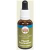 BUSH BIOTHERAPIES Pty Ltd Bush Flower Essences Fiori Australiani Fluent Expression Gocce 30 ml