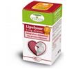 RENACO ITALIA R.I. GROUP Srl Renaco Lipolysar Long Action Integratore 45 Capsule