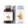 PROMOPHARMA SpA PromoPharma Lievito di Birra Integratore 250 Tavolette