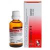 DR.RECKEWEG & CO. GmbH Dr. Reckeweg R19 Gocce Orali Omeopatiche 22 ml
