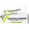 PIETRASANTA PHARMA SpA Vegetallumina Antidolore 10% Gel 120g