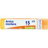 BOIRON Srl Boiron Arnica 15CH Granuli Tubo