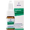 WELEDA ITALIA Srl Weleda Euphrasia D3 Collirio Omeopatico 10 ml