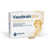 ERREKAPPA EUROTERAPICI SpA Vasobrain Plus Integratore Antinvecchiamento Cerebrale 24 Capsule