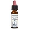 ERBA VITA GROUP SpA Erba Vita Flower 39 Rimedio Omeopatico Calmante 10 ml
