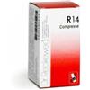 DR.RECKEWEG & CO. GmbH Dr. Reckeweg R14 Omeopatico 100 Compresse