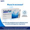 PHARMAIDEA Srl SOBREFLUID SOLUZIONE DA NEBULIZZARE PER AEROSOL 10 FIALE 40 MG/3 ML