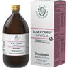 GIANLUCA MECH SpA Tisanoreica Slim-Kombu Vaniglia Integratore Anti-cellulite 500 ml