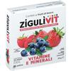 FALQUI PRODOTTI FARMAC. Srl ZiguliVit Integratore Vitamine e Minerali Gusto Frutti Di Bosco 24 g