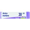 BOIRON Srl Boiron Arnica Montana 30CH Globuli Tubo