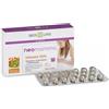 BIOS LINE SpA Neomamma Vitamix Folic Integratore Acido Folico 40 Compresse