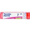 BOIRON Srl Boiron Thyroidinum 7CH Granuli Tubo