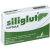 SHEDIR PHARMA Srl Unipersonale Siliglut Integratore 20 Capsule