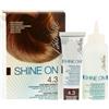 I.C.I.M. (BIONIKE) INTERNATION Bionike Shine-On - Trattamento colorante capelli - castano dorato 4.3