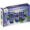 FALQUI PRODOTTI FARMAC. Srl Zigulì Mirtillo 36 Caramelle