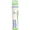 BOIRON Srl Boiron Histaminum 5CH Granuli Tubo