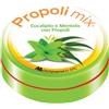 MONTEFARMACO OTC SpA Montefarmaco Propoli Mix Caramelle Balsamiche 30 Pezzi