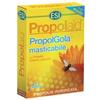 ESI SpA Esi Propolaid Integratore Benessere Gola 30 Tavolette Gusto Miele