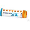 HERING Srl Hering Apis Mellifica 9CH Granuli Senza Glutine 4 g