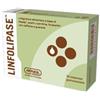 AMNOL CHIMICA BIOLOGICA Srl Linfolipase Integratore Drenante 30 Compresse