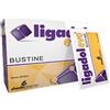 SHEDIR PHARMA Srl Unipersonale Ligadol Evo Integratore Per La Cartilagine 20 Bustine