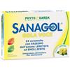 NAMED Srl Sanagol Gola Voce Gusto Limone 24 Caramelle