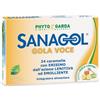 NAMED Srl Sanagol Gola Voce Gola Voce Erisimo Caramelle Balsamiche Miele E Limone 24 Pezzi