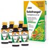 SALUS HAUS Gmbh & Co KG Salus Salufrangol Integratore 100ML