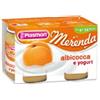 PLASMON (HEINZ ITALIA SpA) Plasmon Omogeneizzato Yogurt Albicocca 2 Vasetti da 120 g