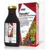 SALUS HAUS Gmbh & Co KG Salus Floradix Ferro 250 Ml