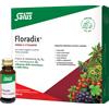 SALUS HAUS Gmbh & Co KG Salus - Floradix 10 Flaconcini - Integratore Di Ferro E Vitamine