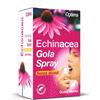 OPTIMA NATURALS Srl Optima Echinacea Gola Spray Integratore Benessere Gola 20 ml
