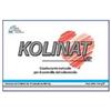 LEADER NATURAL PHARMA Srl Kolinat Lnp Integratore Controllo del Colesterolo 30 Capsule
