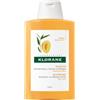 KLORANE (Pierre Fabre It. SpA) Klorane Burro Di Mango Shampoo Nutritivo Capelli Secchi 200 ml