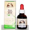 ERBENOBILI Srl Erbenobili Ficus Carica Fitoblasto Gemmoderivato 50 ml