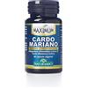 NATURANDO Srl MAXIMUM CARDO MARIANO 40CPS