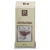 ECOL Sas Ecol Fico Gemme integratore per lo stomaco 50 ml