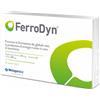 METAGENICS BELGIUM bvba FerroDyn 90 capsule integratore alimentare di ferro