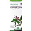 SPECCHIASOL Srl Specchiasol Gemmosol 13 Linfa di Betulla Gemmoderivati 50 ml